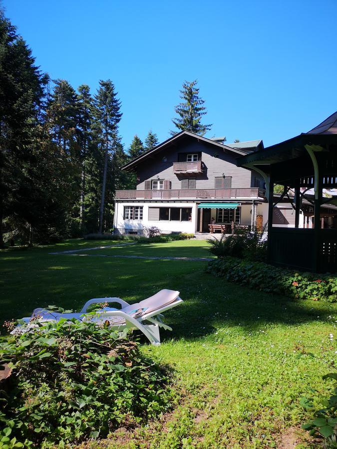 Villa Kalia Borovets Buitenkant foto